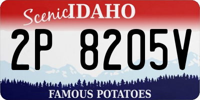 ID license plate 2P8205V