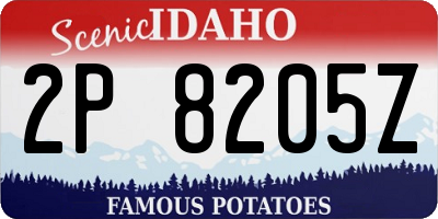 ID license plate 2P8205Z