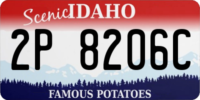 ID license plate 2P8206C