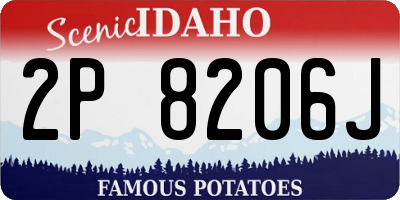ID license plate 2P8206J