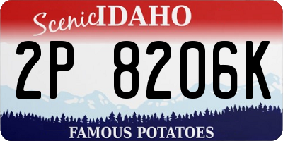 ID license plate 2P8206K
