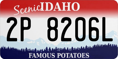 ID license plate 2P8206L