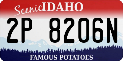ID license plate 2P8206N