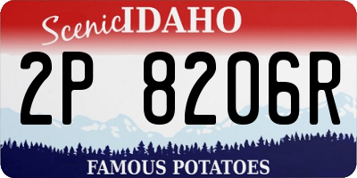 ID license plate 2P8206R
