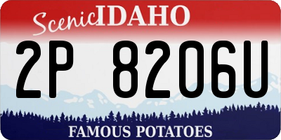 ID license plate 2P8206U