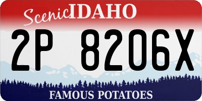 ID license plate 2P8206X