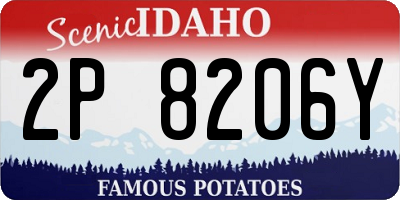 ID license plate 2P8206Y