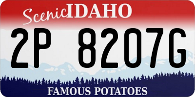 ID license plate 2P8207G