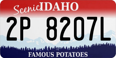 ID license plate 2P8207L