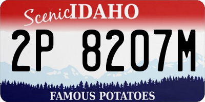ID license plate 2P8207M