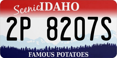 ID license plate 2P8207S