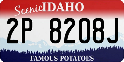 ID license plate 2P8208J