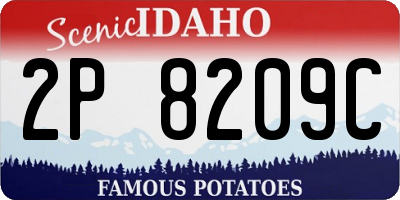 ID license plate 2P8209C