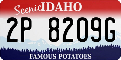 ID license plate 2P8209G