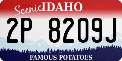 ID license plate 2P8209J