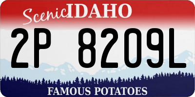ID license plate 2P8209L