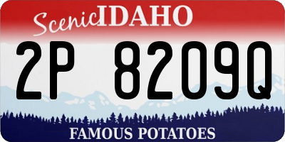 ID license plate 2P8209Q