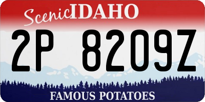 ID license plate 2P8209Z
