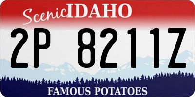 ID license plate 2P8211Z
