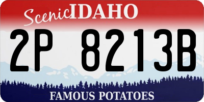 ID license plate 2P8213B