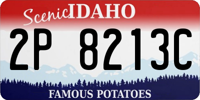 ID license plate 2P8213C