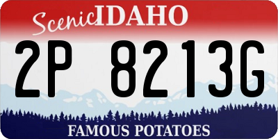 ID license plate 2P8213G