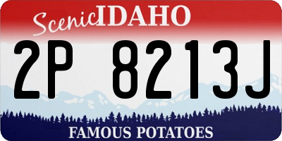 ID license plate 2P8213J