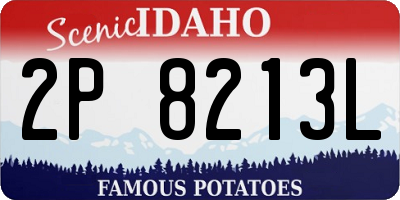 ID license plate 2P8213L