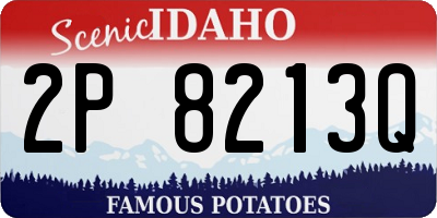 ID license plate 2P8213Q