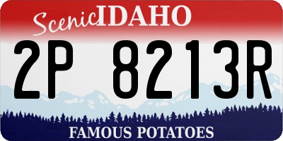 ID license plate 2P8213R