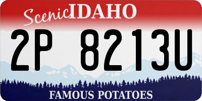 ID license plate 2P8213U