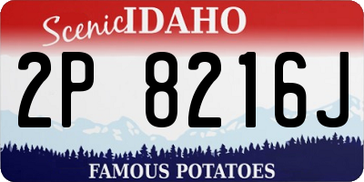 ID license plate 2P8216J