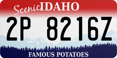 ID license plate 2P8216Z