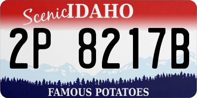 ID license plate 2P8217B