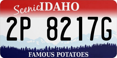 ID license plate 2P8217G