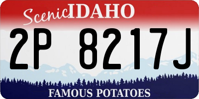 ID license plate 2P8217J