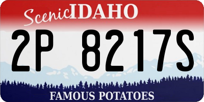 ID license plate 2P8217S