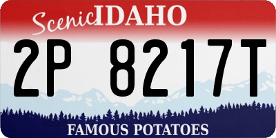ID license plate 2P8217T