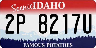 ID license plate 2P8217U