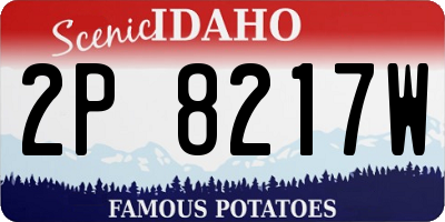 ID license plate 2P8217W