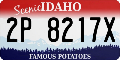 ID license plate 2P8217X