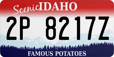 ID license plate 2P8217Z