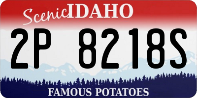 ID license plate 2P8218S