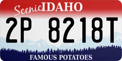 ID license plate 2P8218T