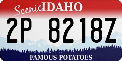 ID license plate 2P8218Z