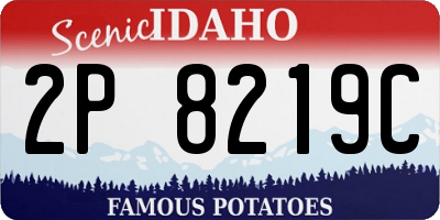 ID license plate 2P8219C