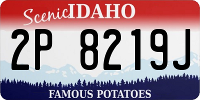 ID license plate 2P8219J