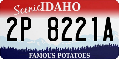ID license plate 2P8221A