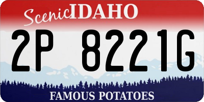 ID license plate 2P8221G