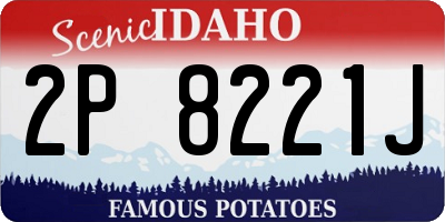 ID license plate 2P8221J